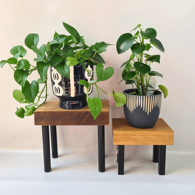 Reclaimed Timber Plant Stands