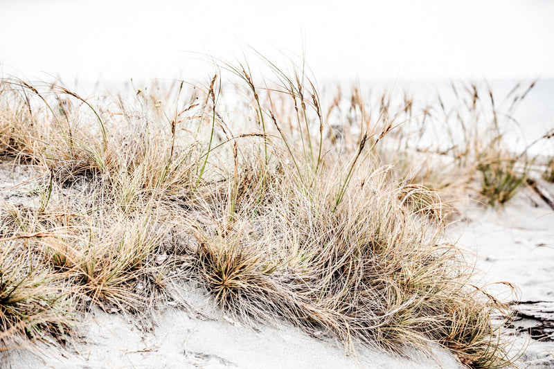 Beach - Large Canvas Print