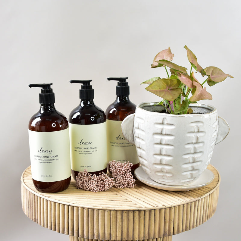 Hand Care Pack - Large - With Potted Plant