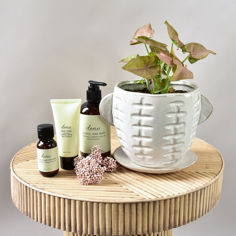 Hand Care Pack - Small - With Potted Plant
