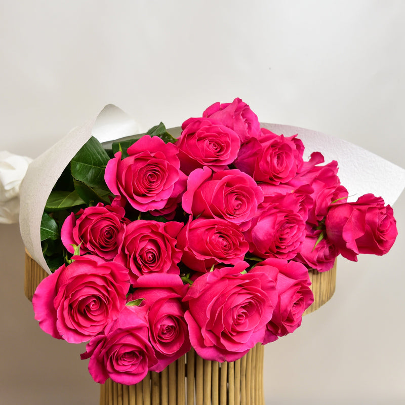 Extra Premium Roses - Pink Floyd