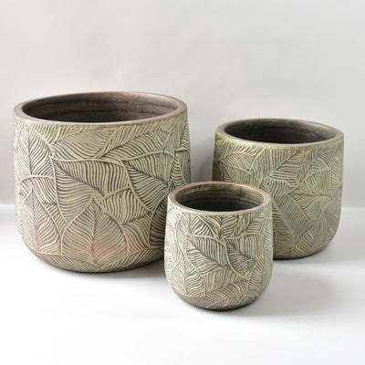 Tub shaped large pots available in 3 sizes. Indoor plants and pots available from The Branche Florist and Plant Seller, Ashburton Melbourne.