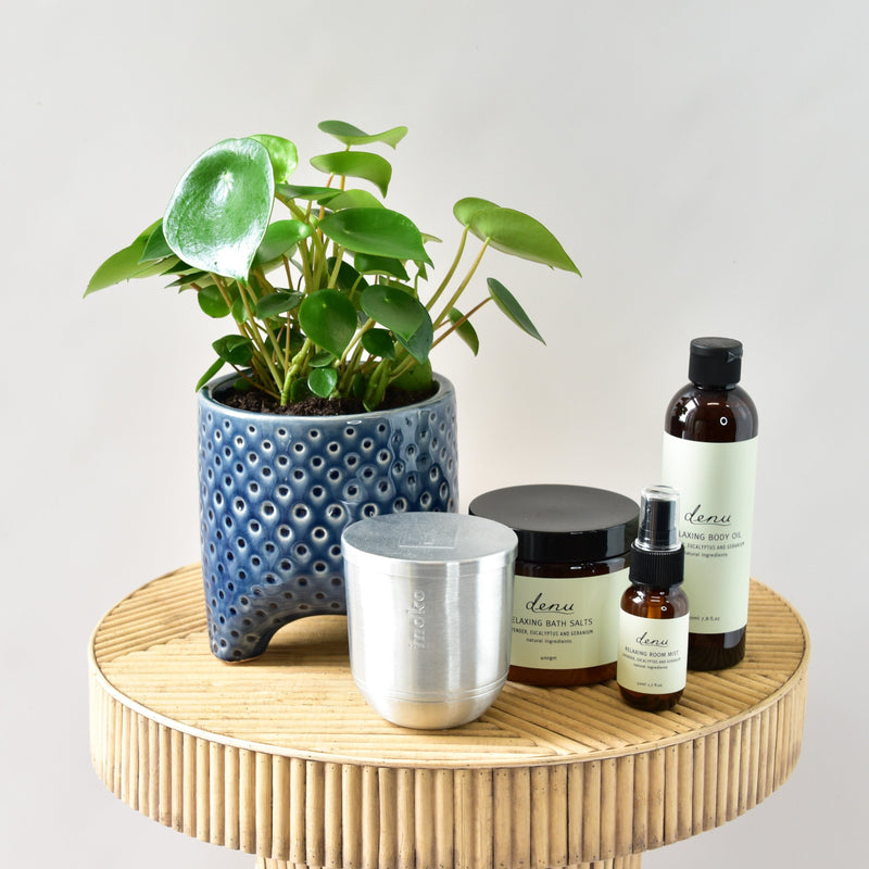 Mums Relaxation Gift Set - Potted Plant