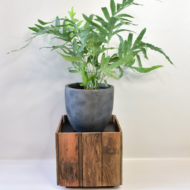 Reclaimed Timber Cube